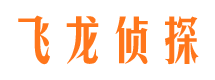 新县市调查公司